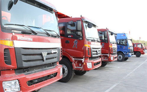 乐清柳市至奎屯市专业物流托运专线服务详解