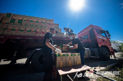 大家谈丨保通保畅就是保大局 货物运输