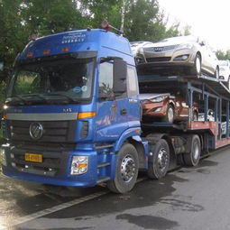 肇庆四会至荔波货运专线 高效调度回程车，优化货物运输解决方案